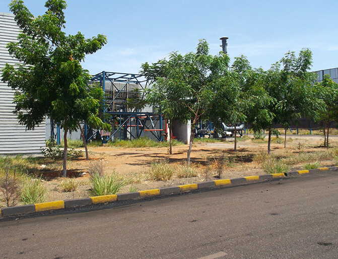 Plantscape Contractors in Chennai