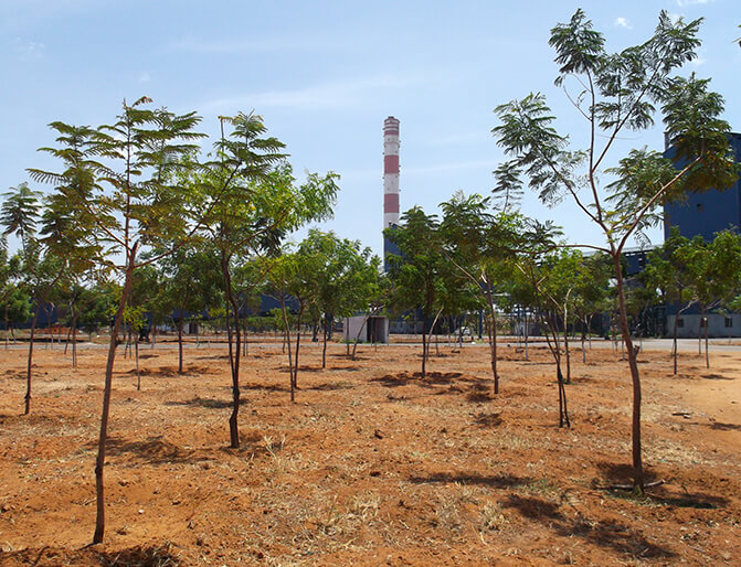 Landscape Developers in TamilNadu